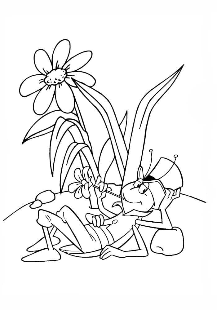 Desenho a Abelha Maia 12 para Colorir