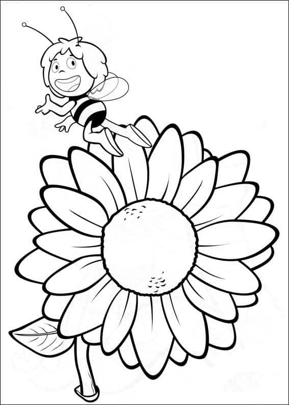 Desenho a Abelha Maia 3 para Colorir