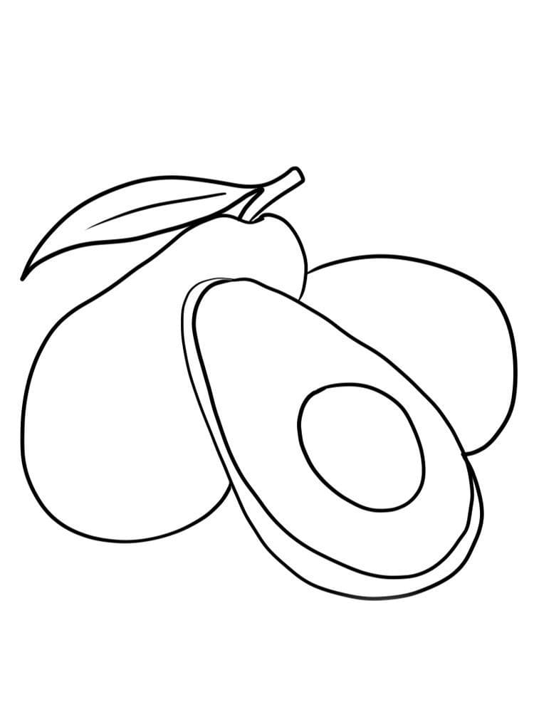 Desenho de Abacate para Pintar de Graça