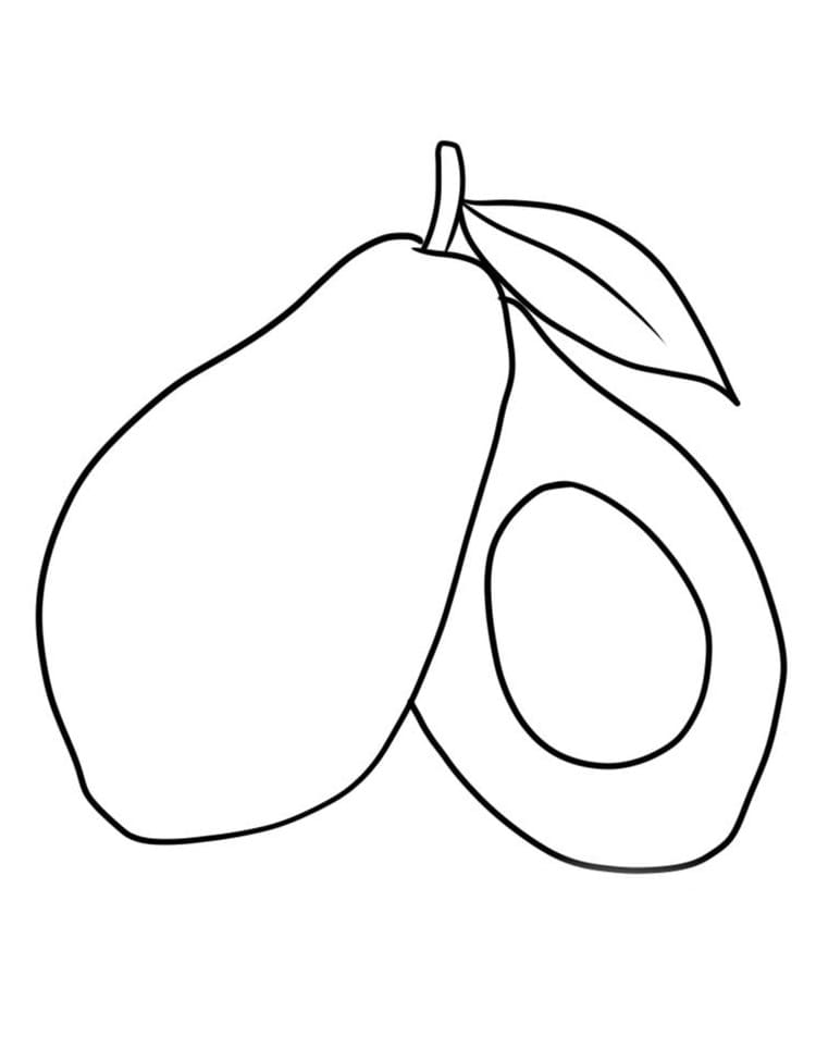 Desenho Simples de Abacate em Pdf