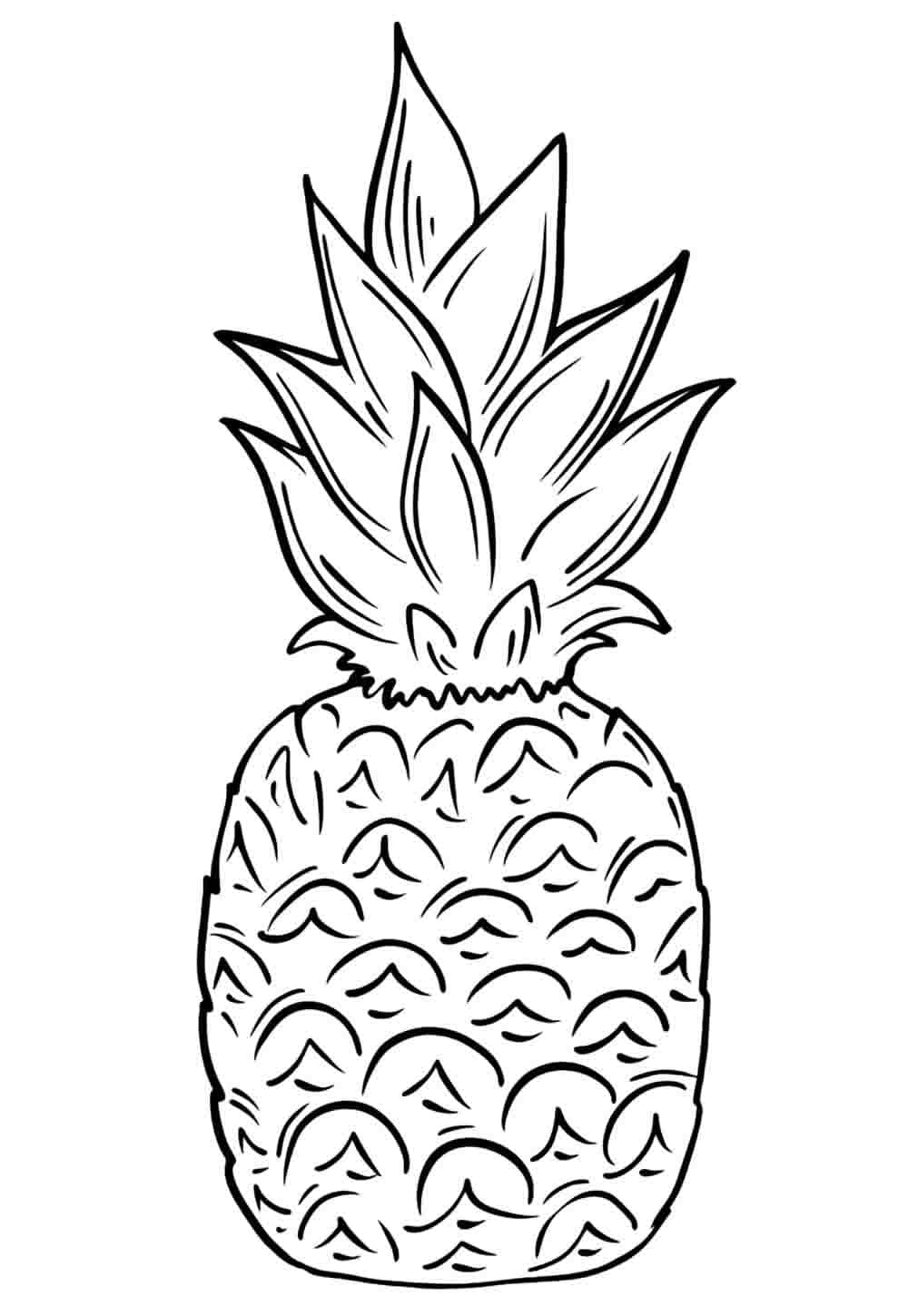 Desenho de Abacaxi Normal para Colorir