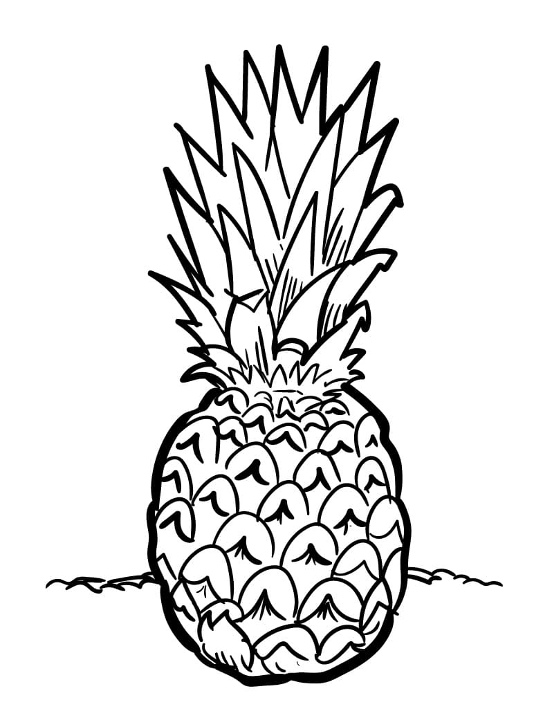 Desenho de um Abacaxi Normal para Colorir