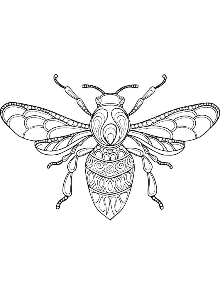 Desenho de Abelha com Muitos Detalhes para Colorir