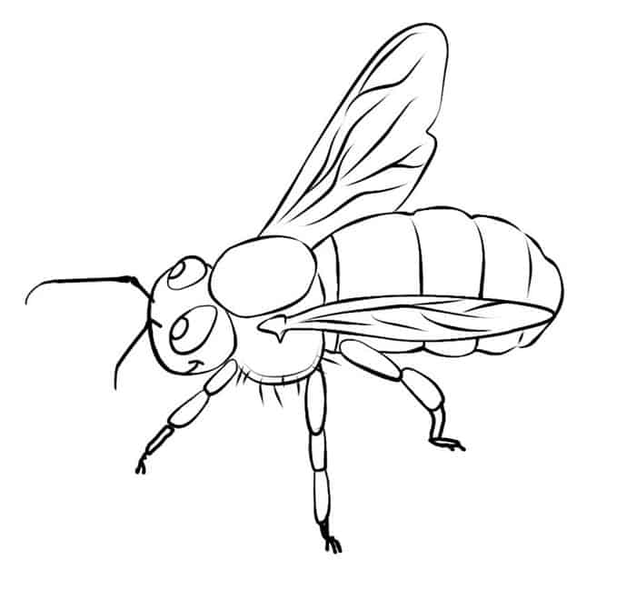Desenho de Abelha Imprimivel Gratuitamente para Pintar