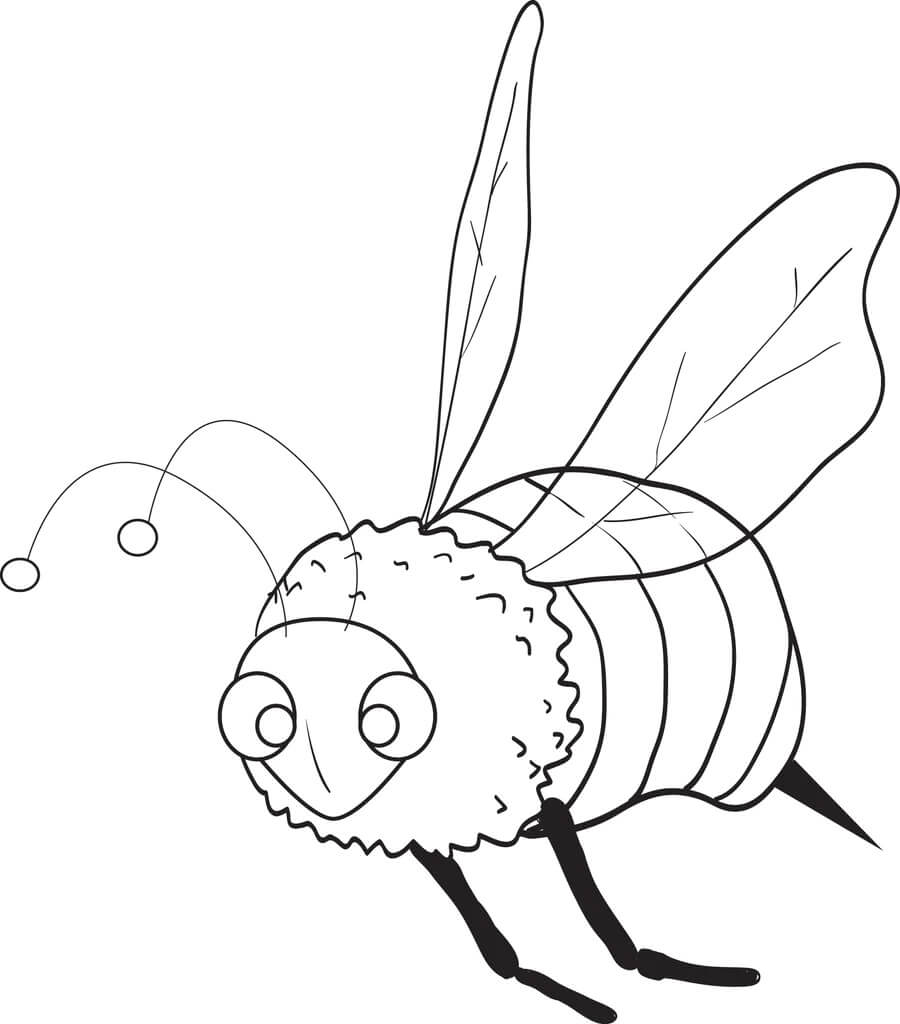 Desenho de Abelha Perfeita para Imprimir e Pintar