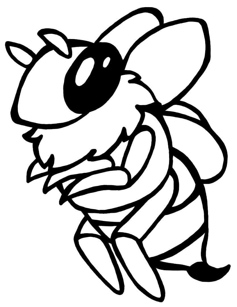 Desenho de Abelha Silvestre para Colorir Grátis