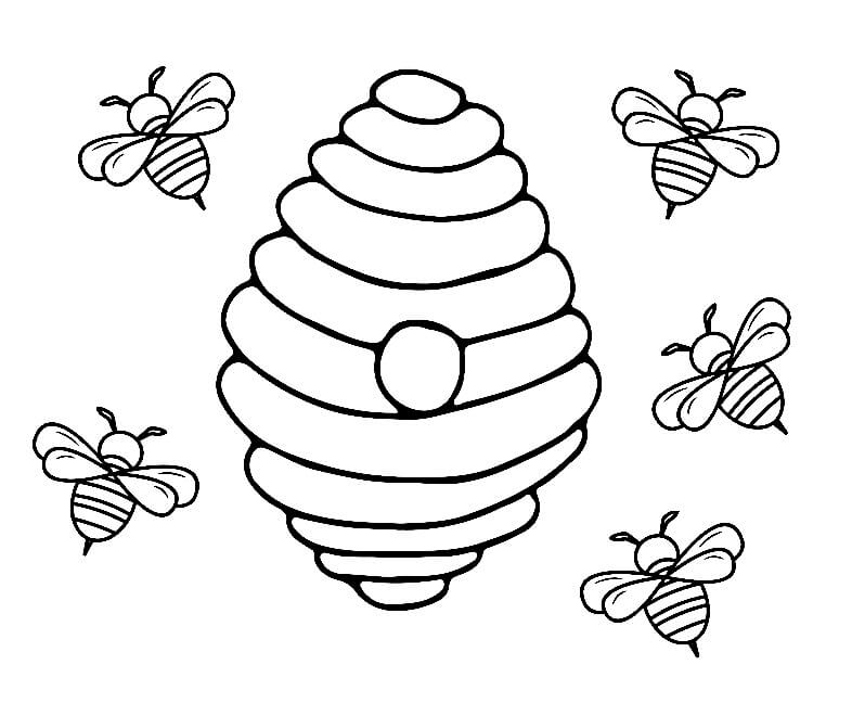 Desenho de Cinco Abelhas com Colmeia de Abelhas para Colorir