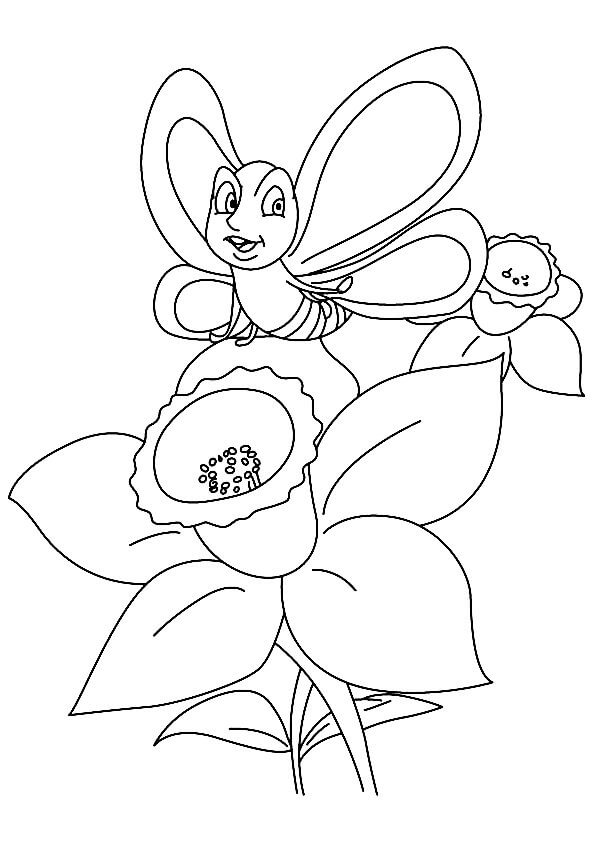 Desenho de Flor Narciso Borboleta e Abelha para Baixar