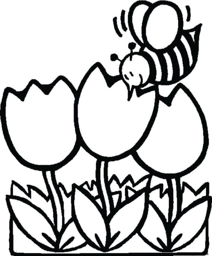Desenho de uma Abelha Polinizá uma Tulipa Primaveril para Pintar