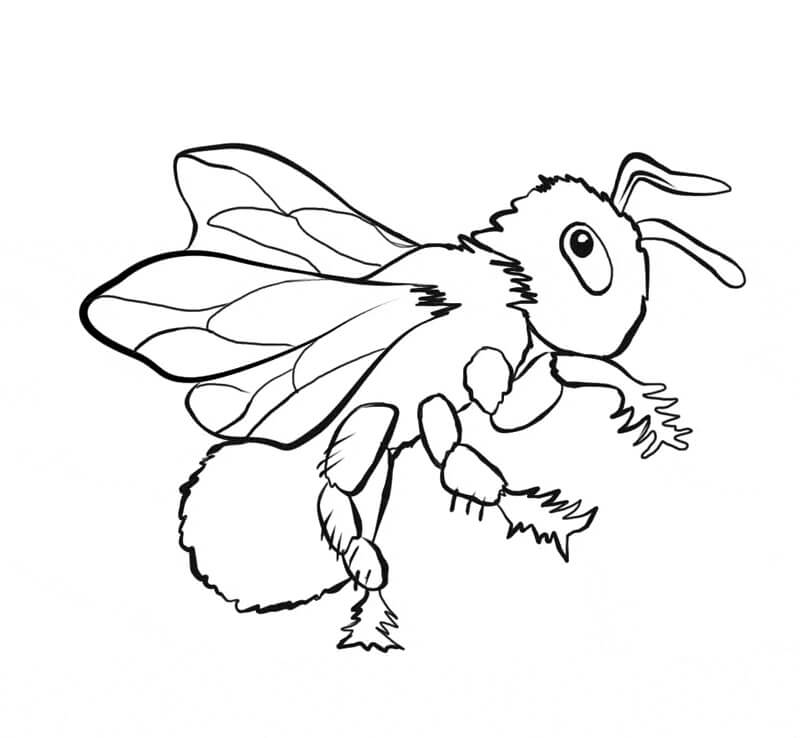 Desenho de uma Abelha Voando no Jardim para Pintar