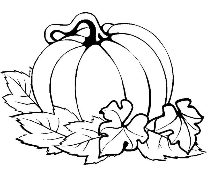 Desenho de Abóbora com Folhas para Colorir