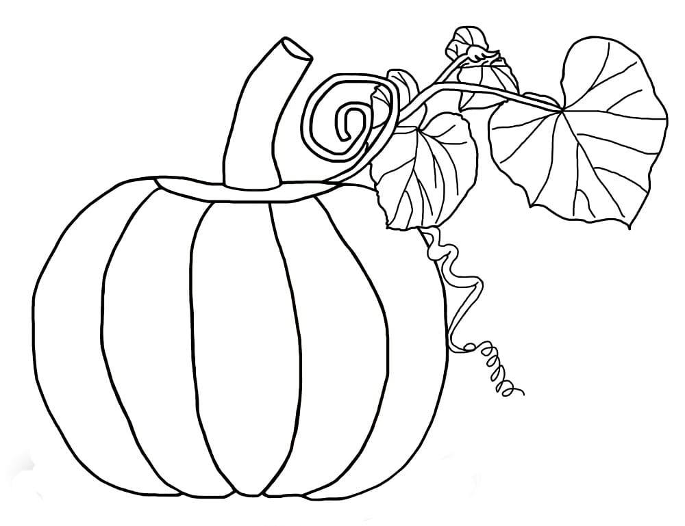 Desenho de Abóbora Grátis para Colorir