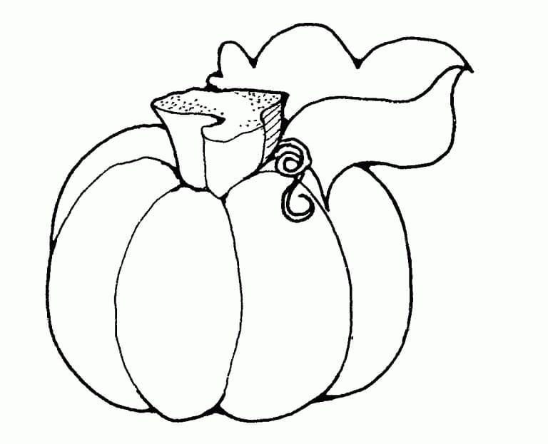 Desenho em Pdf de Abóbora com Poucos Detalhes para Colorir