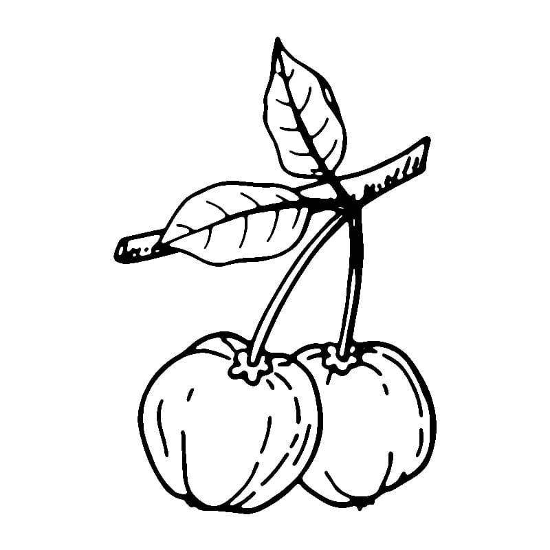 Desenhos de Acerola para Colorir