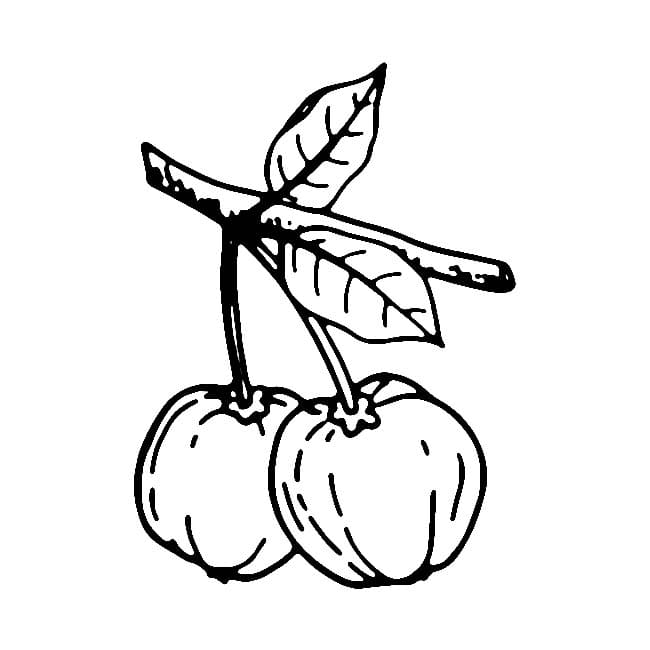 Desenho de Duas Acerolas para Colorir