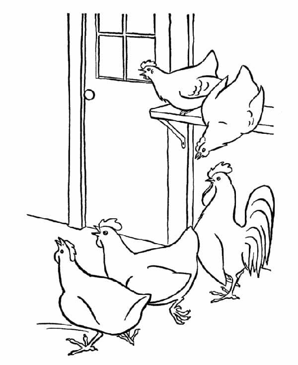 Desenho de Cinco Galinhas para Colorir