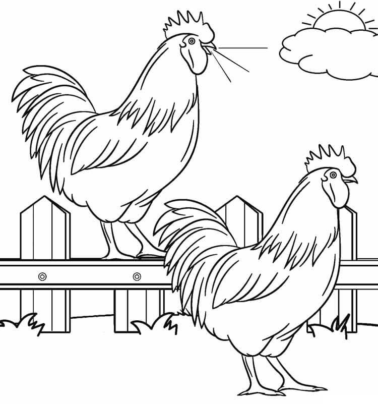 Desenho de Fazenda com Dois Galos para Colorir