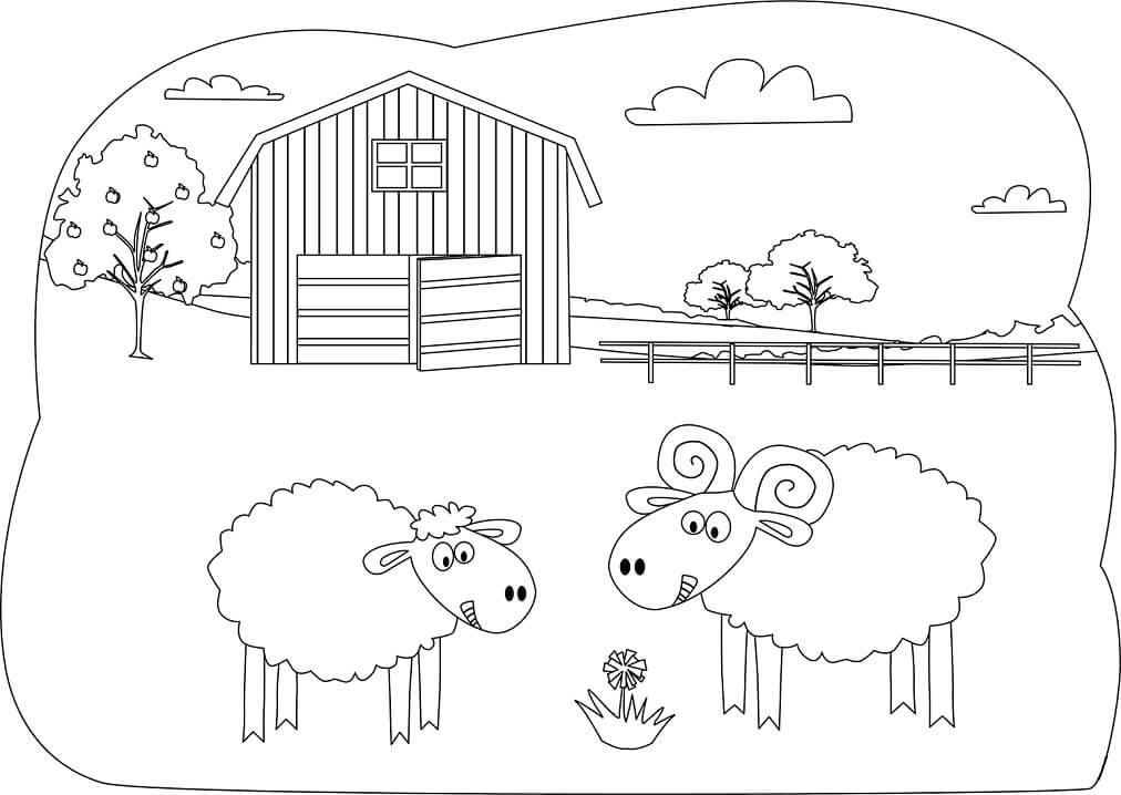 Desenho de Fazenda com Ovelhas para Colorir