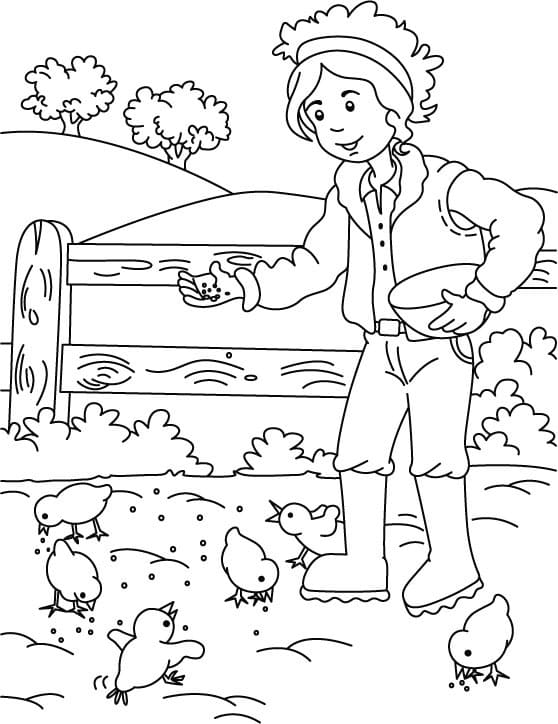 Desenho de Fazendeiro Alimentando Pintinhos para Colorir
