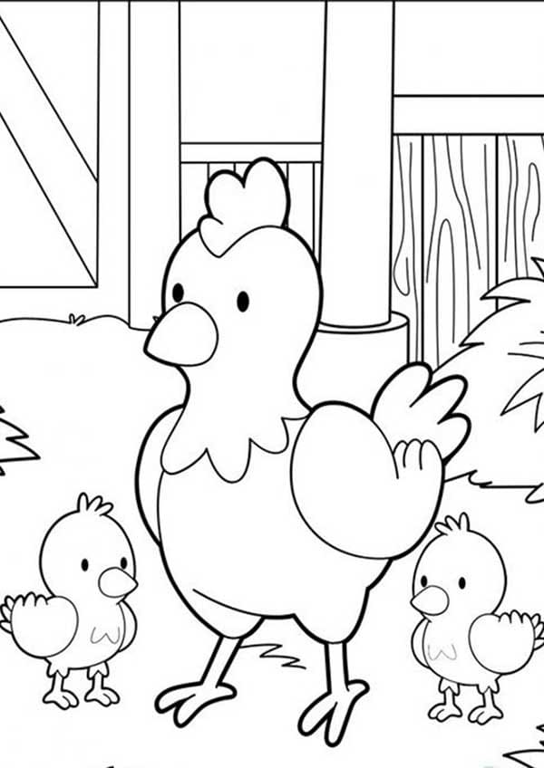 Desenho de Galinha e Dois Pintinhos para Colorir