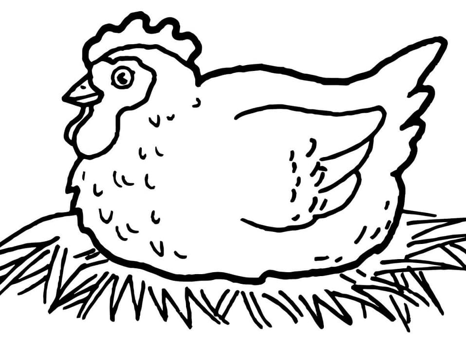 Desenho de Galinha Feliz para Colorir