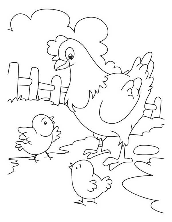 Desenho de Linda Galinha e Pintinhos para Colorir