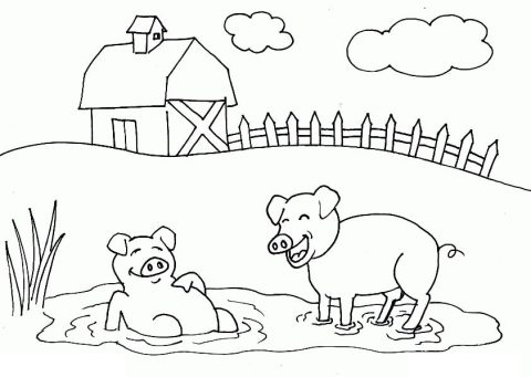 Desenho Pequenos Porcos Para Colorir