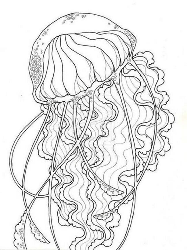 Desenho de Água Viva Estilizada para Colorir e Imprimir