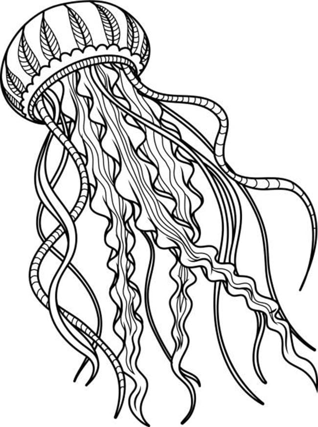 Desenho de Água Viva Grande para Colorir