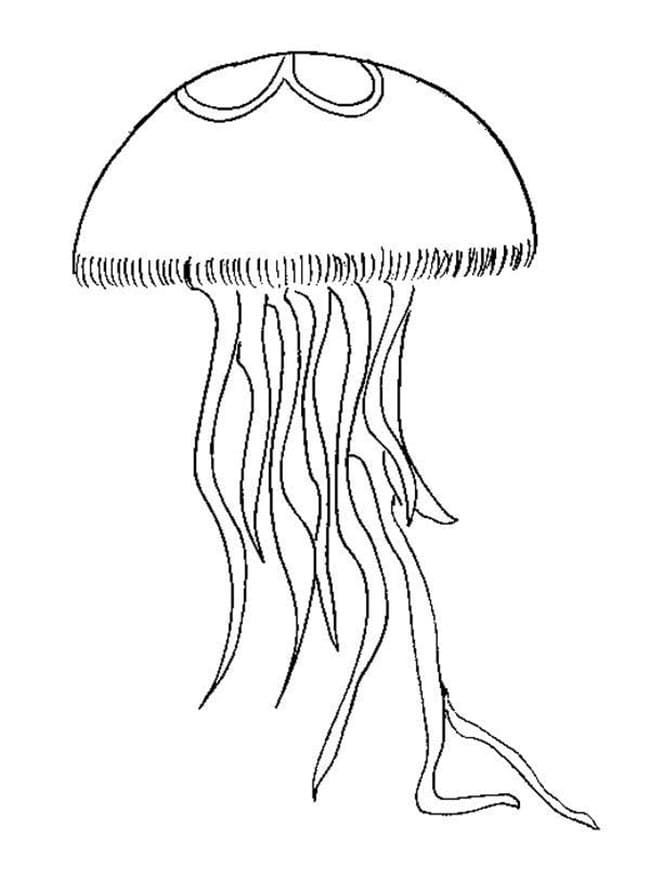 Desenho de Água Viva na Praia para Colorir