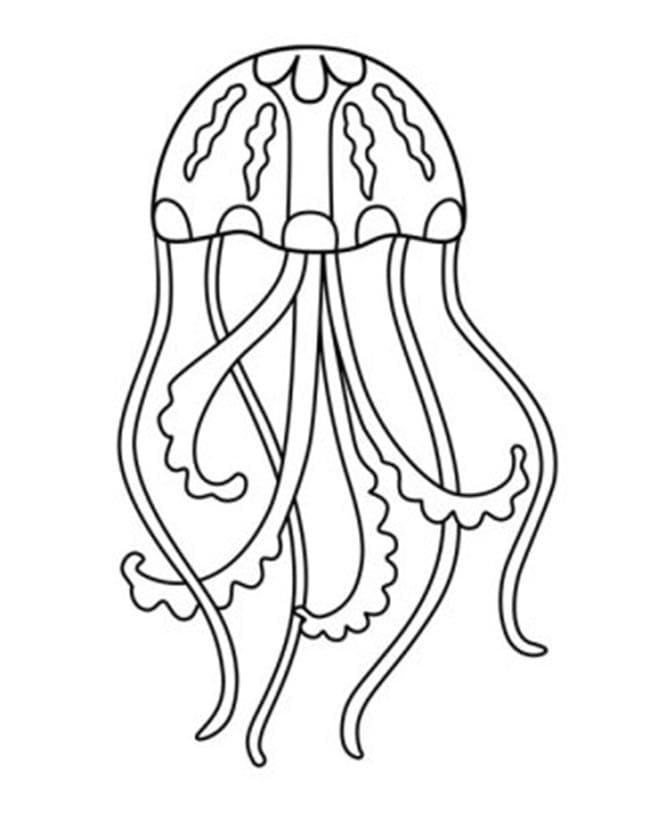Desenho de Água Viva Nadando para Pintar com Tinta Guache
