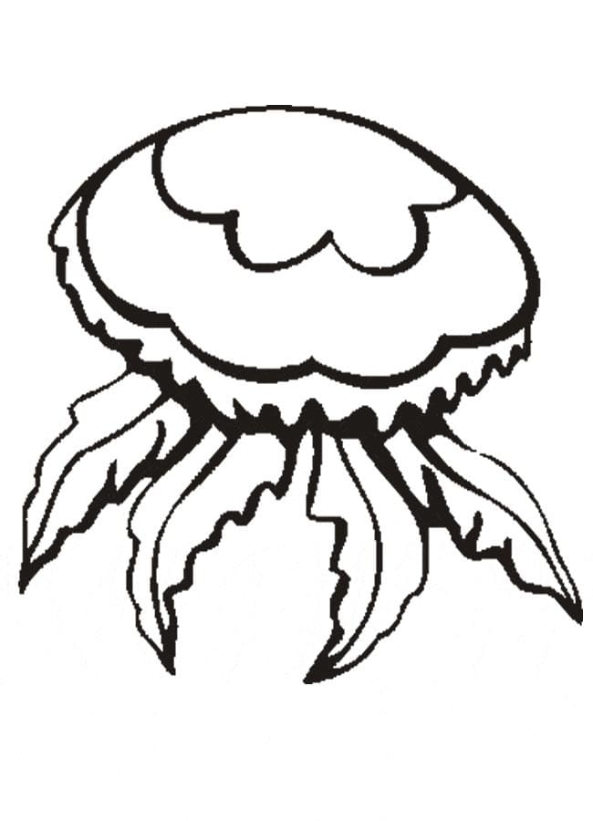 Desenho de Água Viva para Colorir com Crianças