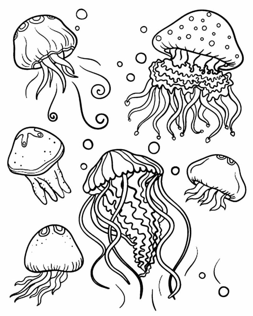 Desenho de Seis Água Viva Nadando no Aquário para Pintar