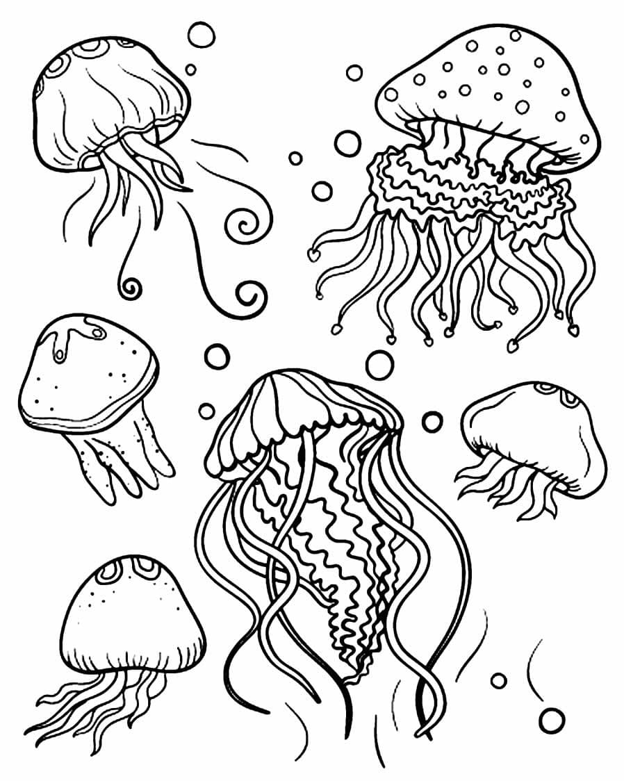 Desenho de Seis Água Viva Nadando no Aquário para Pintar