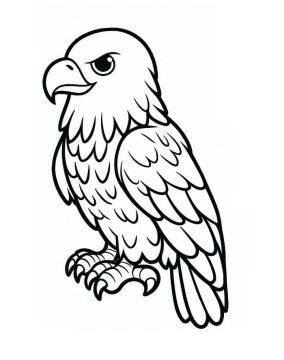Desenho De Uma águia Para Colorir