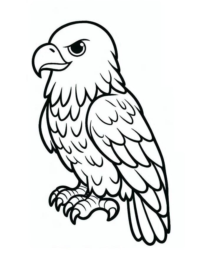 Desenho de uma Águia para Colorir