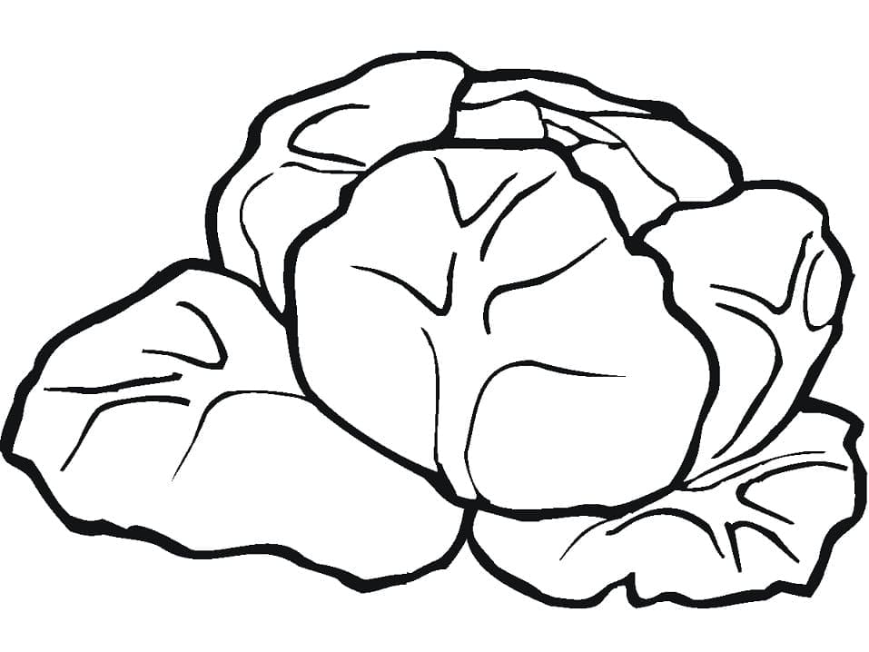 Desenho de Alface em Horta Infantil para Colorir e Download