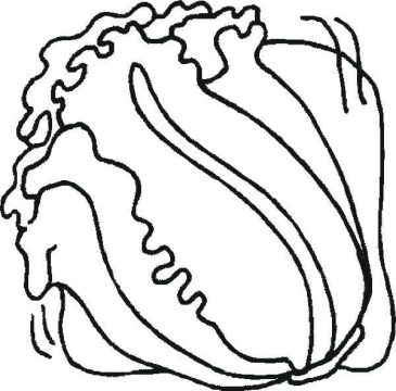 Desenho De Alface No Prato De Salada Para Colorir Com Giz De Cera