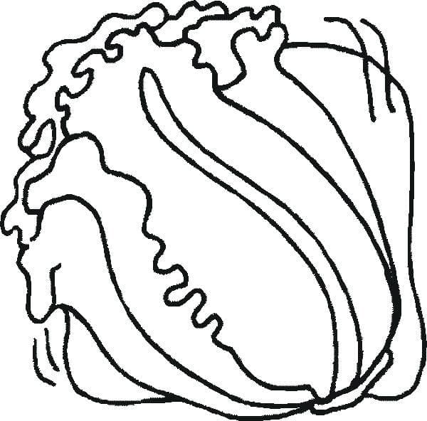 Desenho de Alface no Prato de Salada para Colorir com Giz de Cera