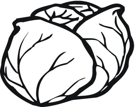 Desenho De Alface Recortavel Imprimível Para Colorir e Pdf