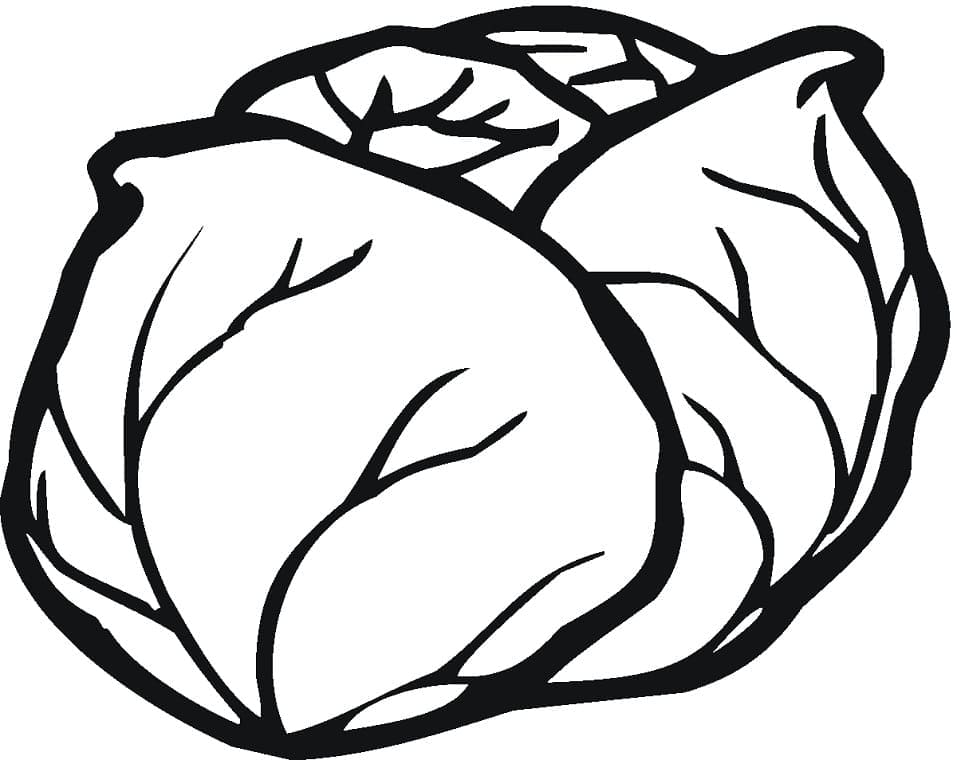 Desenho de Alface Recortavel Imprimivel para Colorir e Pdf