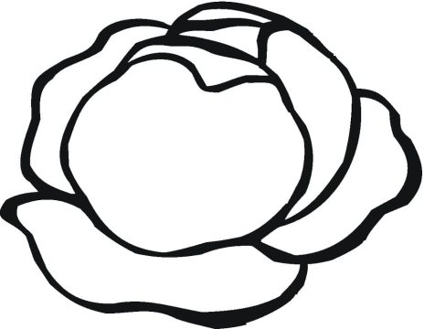 Desenho De Alface Simples Para Colorir