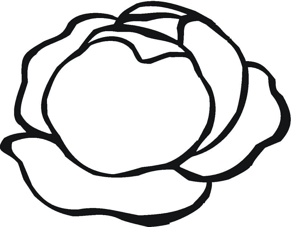 Desenhos de Alface para Colorir