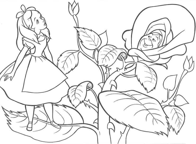 Desenho Alice no País das Maravilhas Disney para Colorir