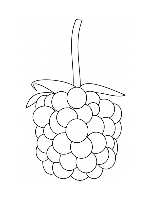 Desenhos de Amora para Colorir