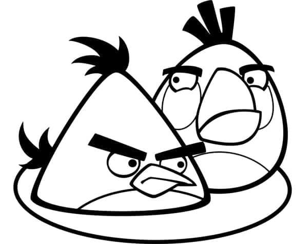 Desenho Angry Birds Chuck e Matilda para Colorir