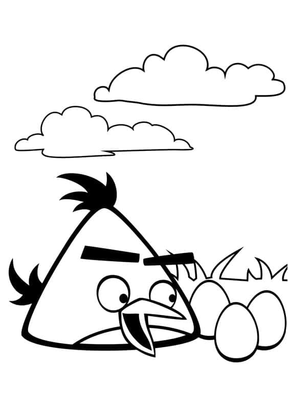 Desenho Angry Birds Chuck e Ovos para Colorir