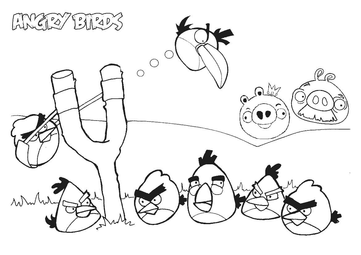 Desenho Angry Birds Gameplay para Imprimir e Pintar de Graça