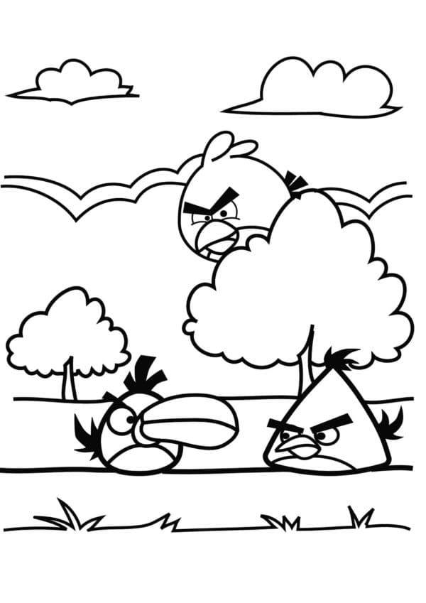 Desenho Angry Birds Pássaros nas Árvores para Colorir