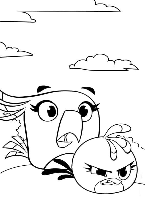 Desenho Angry Birds Poppy e Stella para Colorir